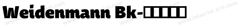 Weidenmann Bk字体转换